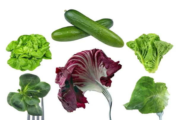 Salade-légumes — Photo