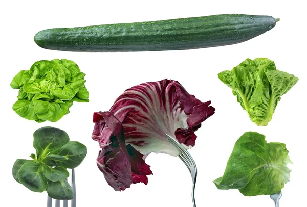 Salade-légumes — Photo