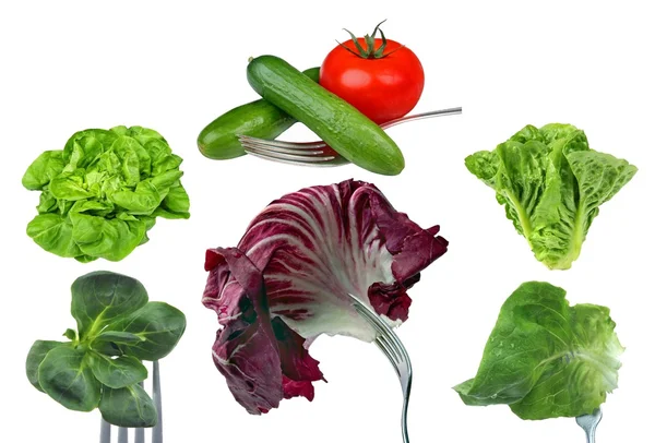 Frischer Salat Auf Weißem Hintergrund — Stockfoto