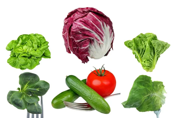 Salat Auf Weißem Grund — Stockfoto