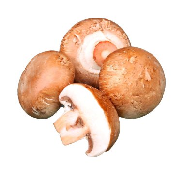 Mushrooms clipart