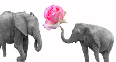 Elephants-Love clipart