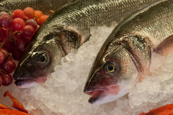 stock image Fresh fishes on ice