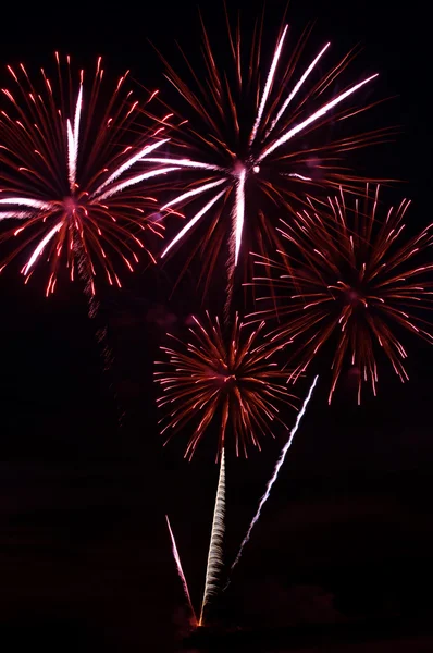 Fuochi d'artificio rossi saluto — Foto Stock