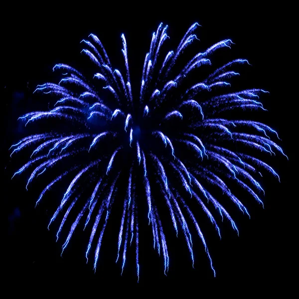Esplosione fuochi d'artificio blu — Foto Stock