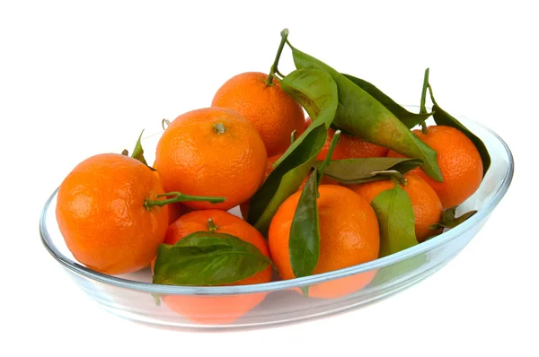 Frische Orangen Mandarine Auf Einem Teller — Stockfoto