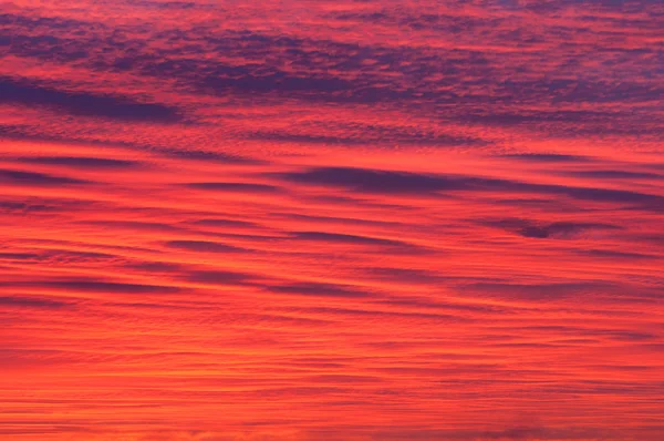 Egy vörös és bleu ég — Stock Fotó