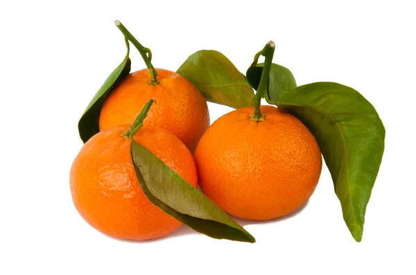Mandarini su bianco — Foto Stock