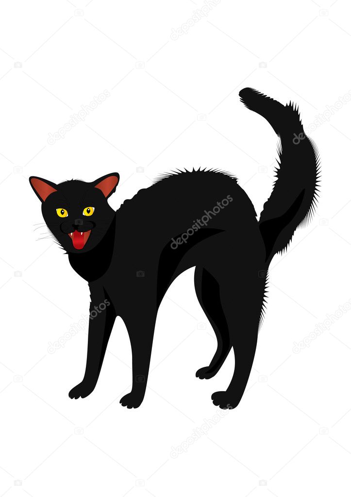 tıslayan kedi — Stok Vektör © Lynx_aqua 4143556