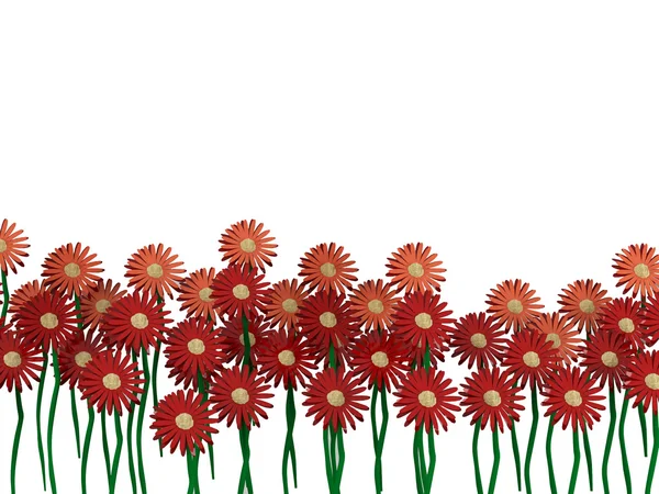 Bellissimi fiori in fila isolati — Foto Stock