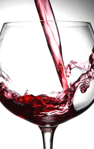 Viiniläiskä — kuvapankkivalokuva