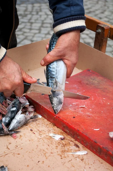 新鮮な魚を切断 — ストック写真