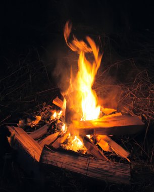 Camp fire in night clipart