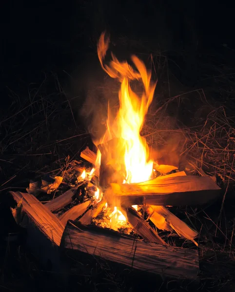 Пожар Лагере Ночью — стоковое фото