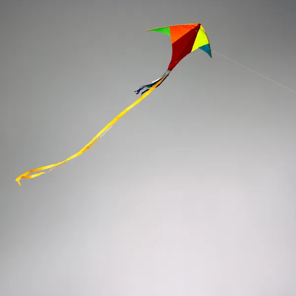 曇り空の凧 — ストック写真