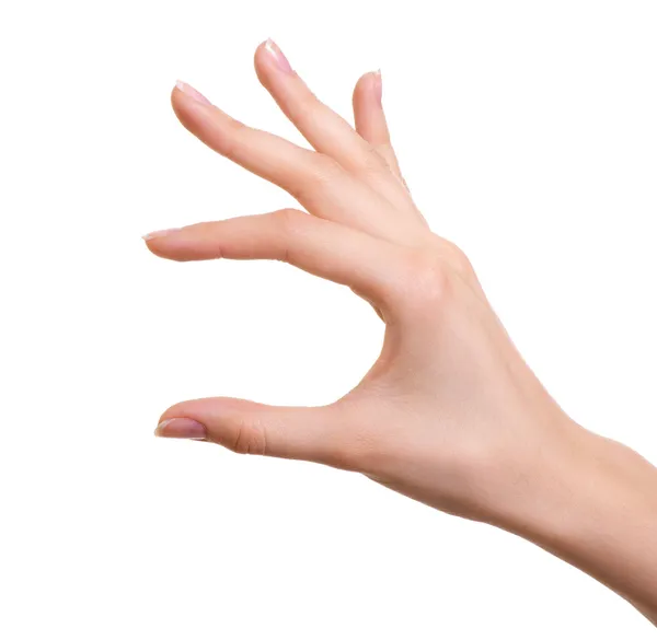 Mão feminina isolada sobre branco — Fotografia de Stock