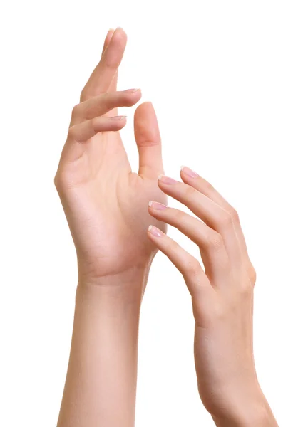 Mãos manicure francês isolado no branco — Fotografia de Stock