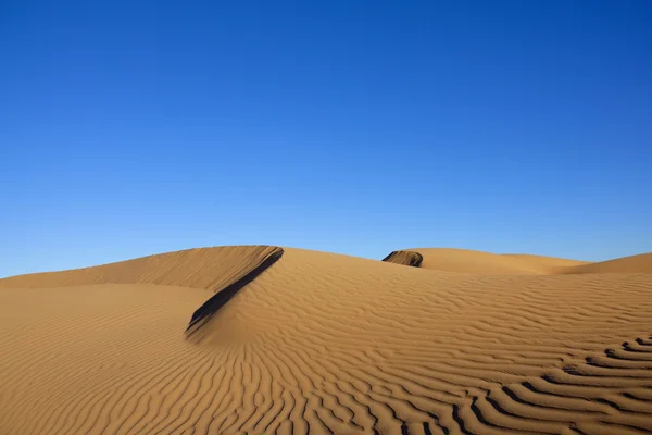 Dunas de arena del desierto con cielo azul claro —  Fotos de Stock
