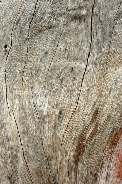 Tekstura tło driftwood — Zdjęcie stockowe