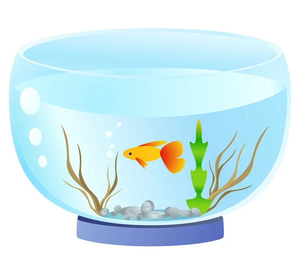 Aquarium — Stock Vector