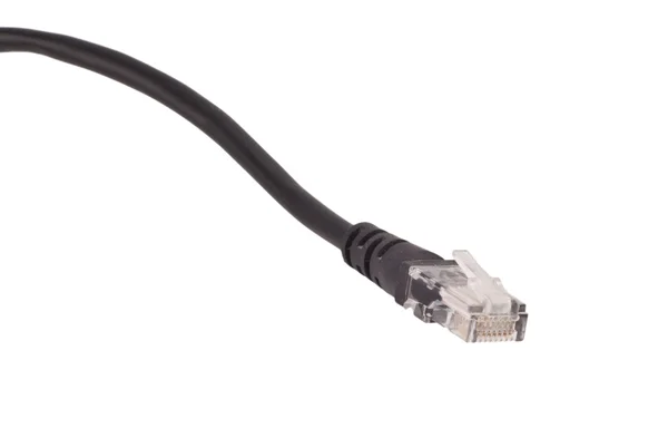 Hálózati kábel — Stock Fotó