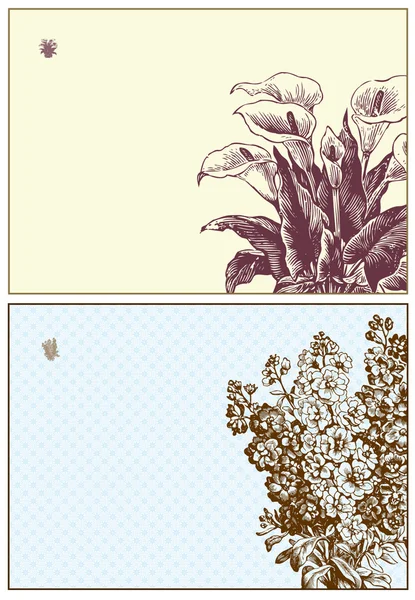 Ensemble de cadre floral vectoriel — Image vectorielle