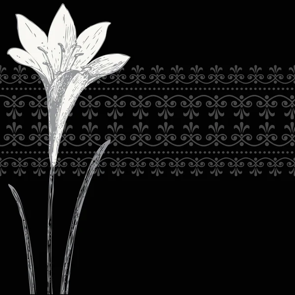 Vector zwarte iris frame en sieraad banner — Stockvector