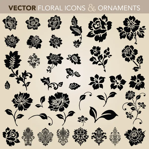 Conjunto de adornos florales vectoriales — Vector de stock