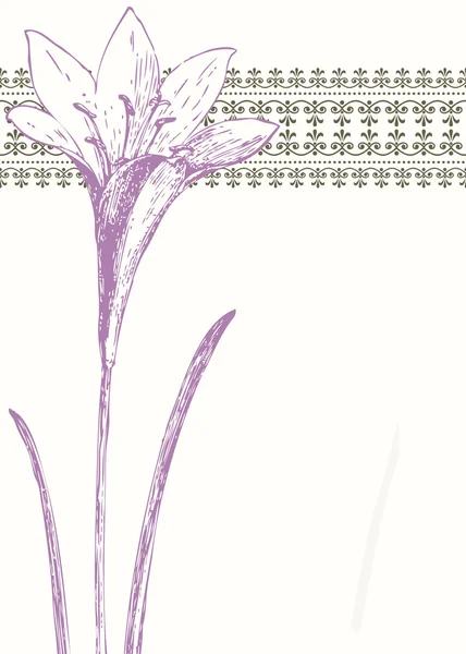 Vector purple lilly arka plan — Stok Vektör