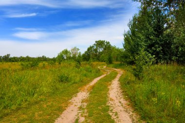 Rural road in steppe clipart