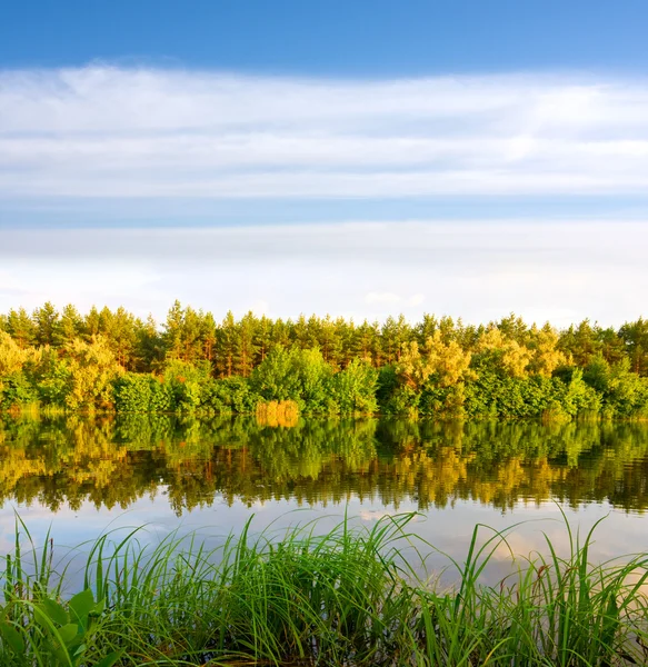 Bonito reflejo de agua con bosque de otoño — Foto de Stock