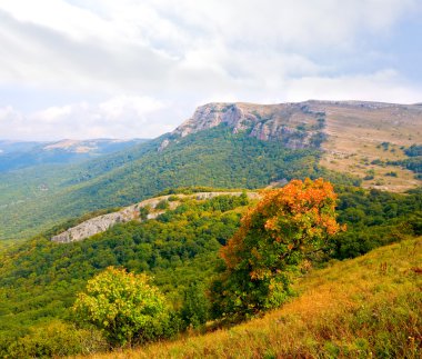 Dağ manzarası