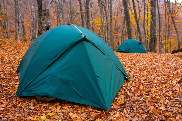 Turisztikai sátrak erdő — Stock Fotó