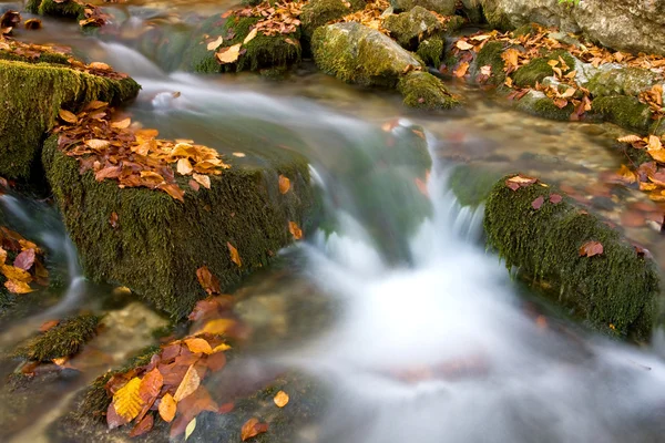 Jesień strumienia — Zdjęcie stockowe