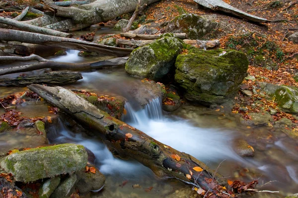 Staré trámy v horské řece — Stock fotografie