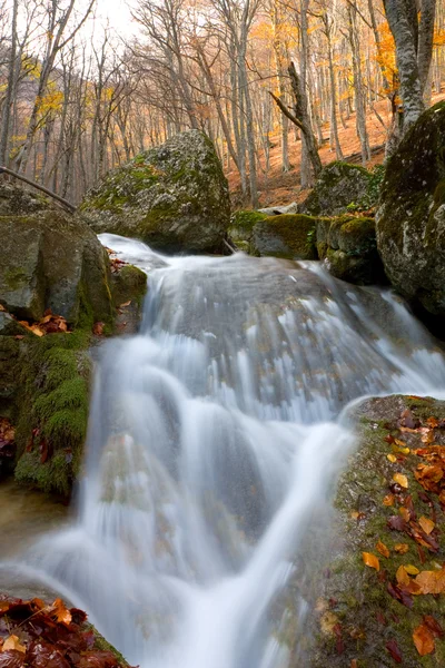 Rio de montanha na floresta de outono — Fotografia de Stock