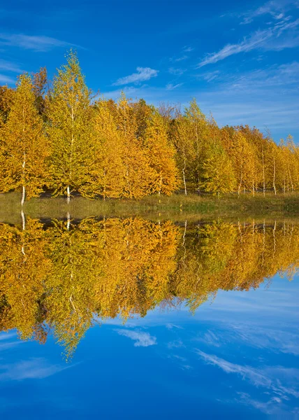 Nice autumn scene — Stock Photo, Image