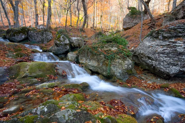 Горный ручей в осеннем лесу — стоковое фото