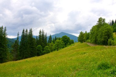 Green pasture in mountains clipart