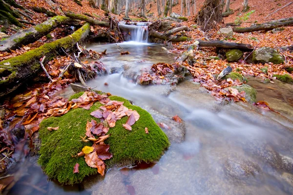 Brook en forêt d'automne — Photo