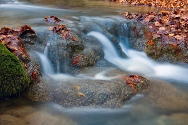 秋天森林里的溪流 — 图库照片