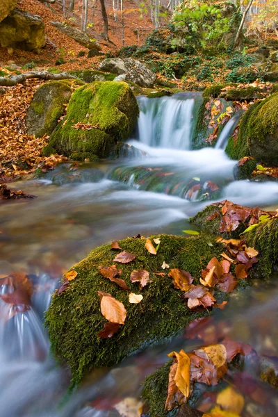 Nice riacho na floresta de outono — Fotografia de Stock