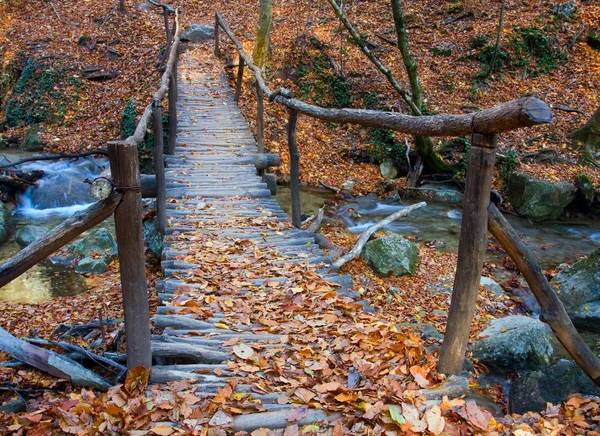 Holzbrücke über Bach — Stockfoto