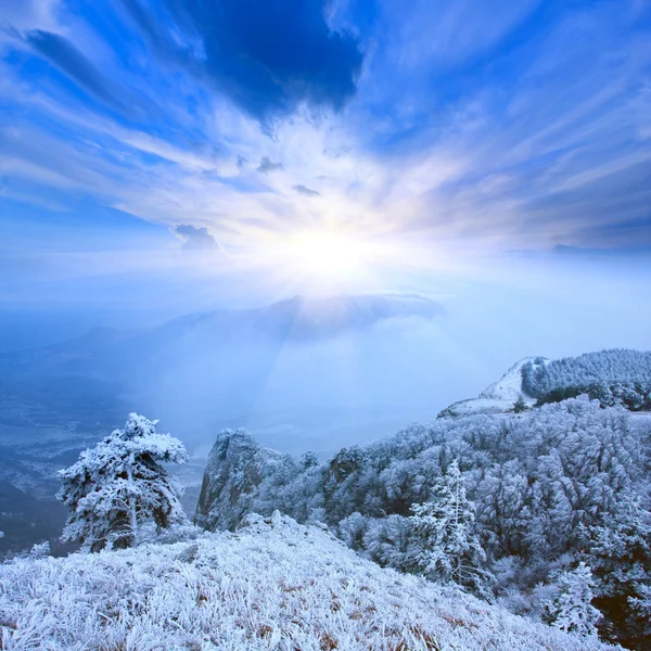 Scena invernale in montagna — Foto Stock
