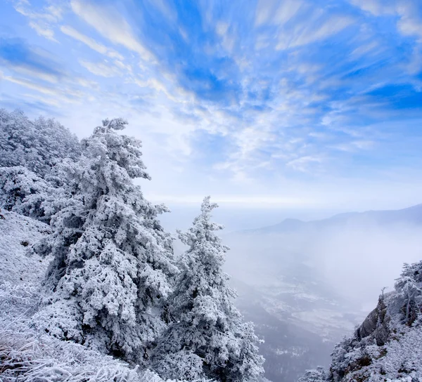 Winter in mountains — Stock Photo, Image