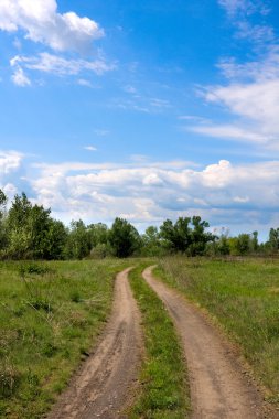 Rural road in summer time clipart