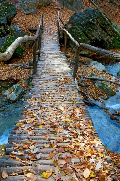 小川の木製の橋 — ストック写真