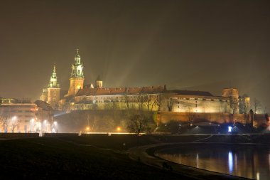 Wawel castle in night clipart