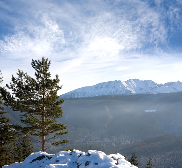 Paesaggio Invernale Montagna — Foto Stock