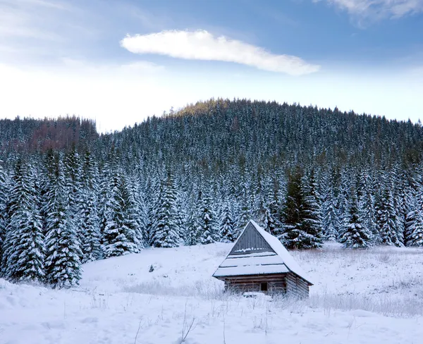 Scène hivernale en montagne — Photo